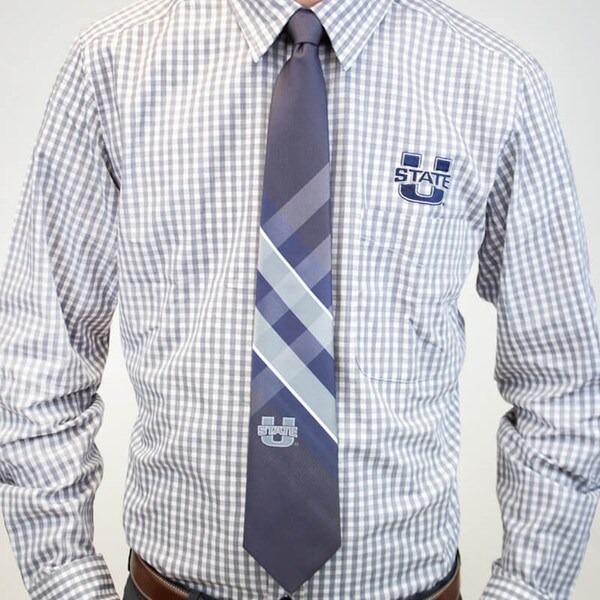 u-state striped polygrid tie